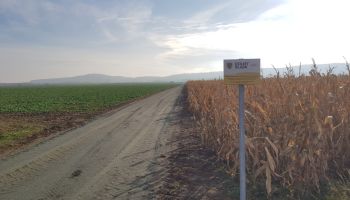 gmina Stoszowice - STOSZOWICE - BUDZ&Oacute;W droga dojazdowa do grunt&oacute;w rolnych