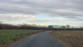 gmina Stoszowice - STOSZOWICE droga dojazdowa do grunt&oacute;w rolnych