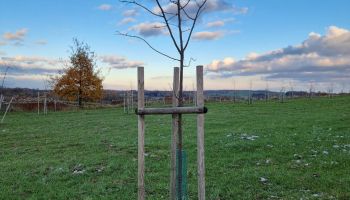 gmina Wisznia Mała - PIOTRKOWICZKI przeciwdziałanie erozji gleb i ruchom masowym ziemi na gruntach rolnych