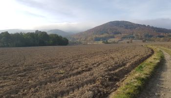 OSTROSZOWICE użyźnianie gleb o niskiej wartości produkcyjnej